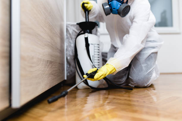 Best Pest Removal Services  in Pittsburg, KS