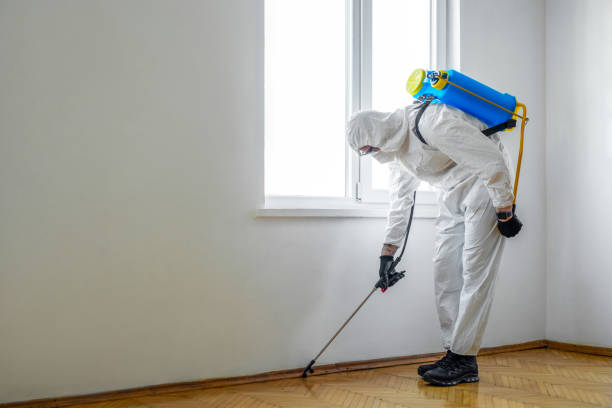 Best Mosquito Control Services  in Pittsburg, KS