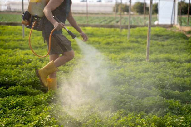 Best Commercial Pest Control Services  in Pittsburg, KS