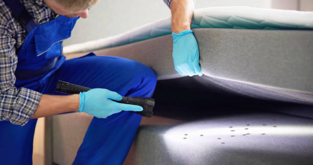 Best Pest Control Treatment  in Pittsburg, KS