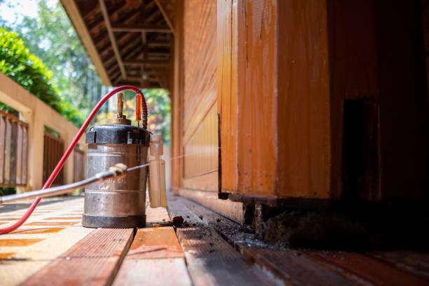 Best Termite Control Services  in Pittsburg, KS