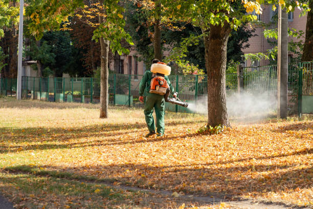 Best Rodent Control Near Me  in Pittsburg, KS
