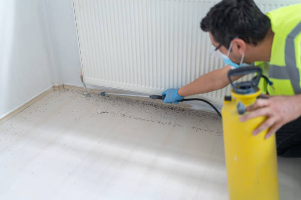 Best Pest Inspection Near Me  in Pittsburg, KS